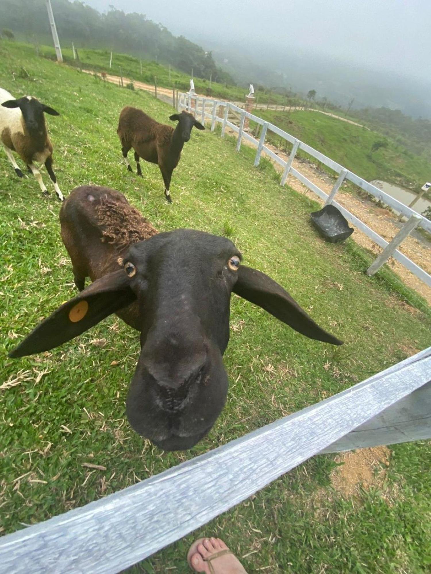 فيلا Rancho Sol Poente - Rancho Queimado - Sc المظهر الخارجي الصورة